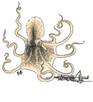Гигантский осьминог (Giant Octopus)