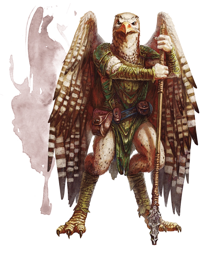 Aarakocra 5e race