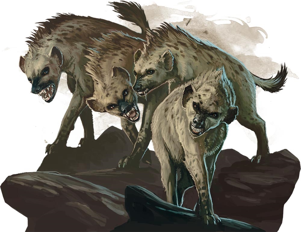 Гиена (Hyena)