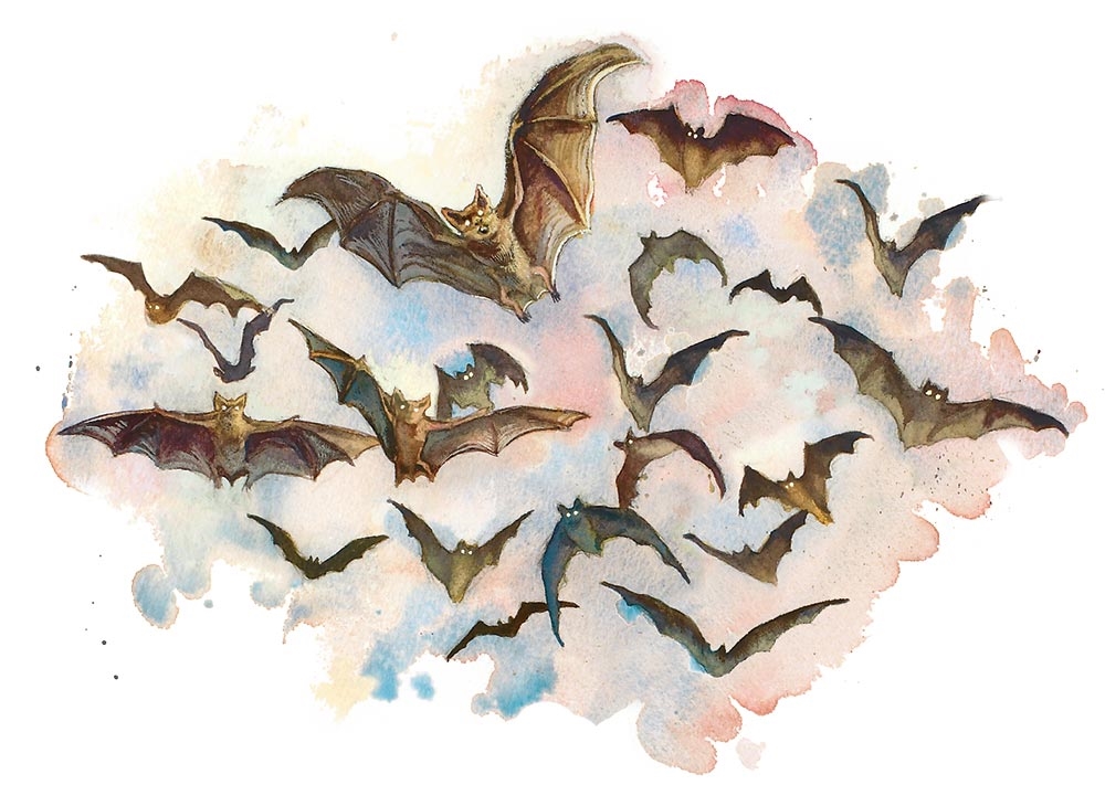 Рой летучих мышей (Swarm of Bats)