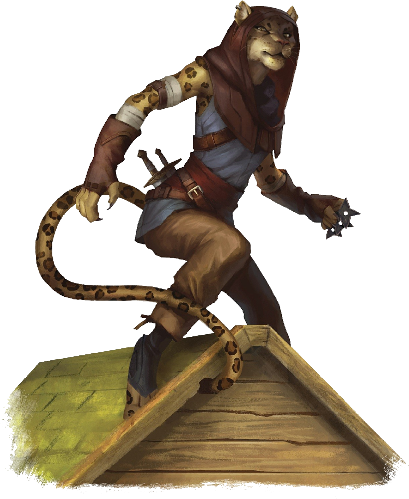Tabaxi D D Tabaxi D D