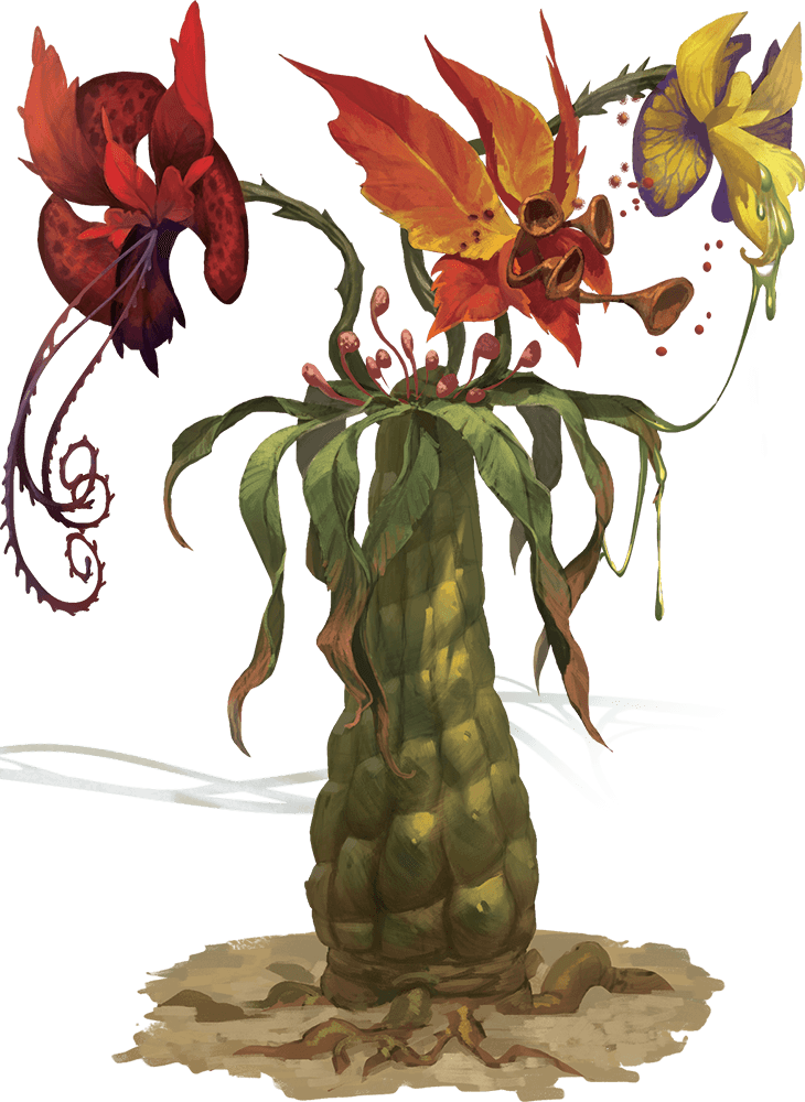 Вайя трёхсоцветная (Tri-flower Frond)