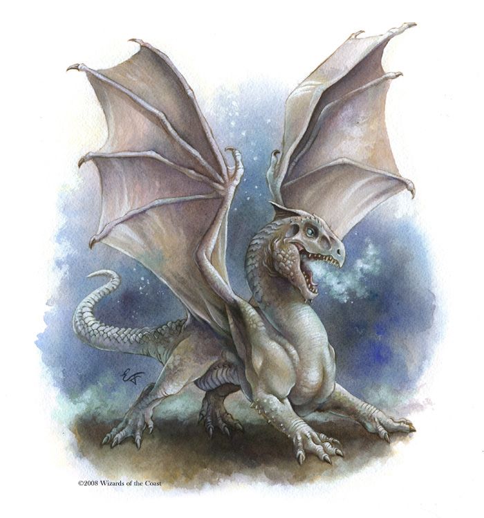 Вирмлинг белого дракона (White Dragon Wyrmling)